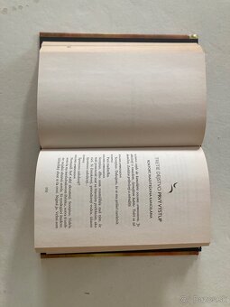 Harry Potter a prekliatie dieťa - 2