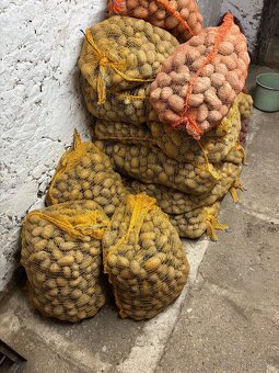 Predám drobné zemiaky - 2