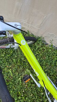 Woom 4 lime - 2