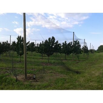 Čierna ochranná sieť proti vtákom 20x20m ( 400m2) - 2
