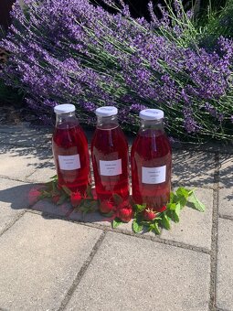 Domáci mätový a jahodový sirup - 2