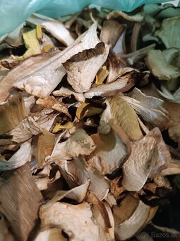 Sušené hríby-dubáky - 2