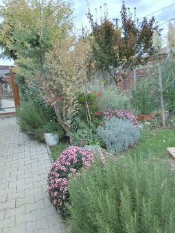 Harmonický domov pre tvorivé duše - 2