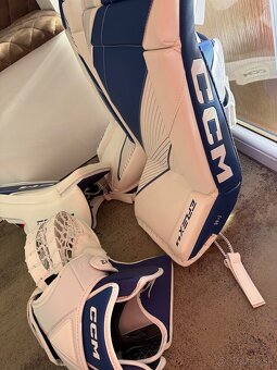 br.set CCM EFlex 6.9 - 2