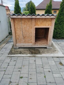 Predám psiu budú pre veľké plemená - 2