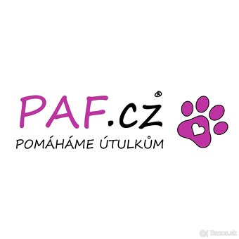 predaj sro s eshopom + domena, blog, - 2