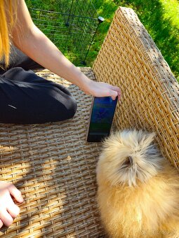 Mini kralik (samička) plus komplet vybavenie - 2