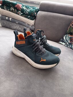 Puma topanky - 2