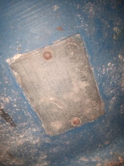 Srotovnik na obilie - 2