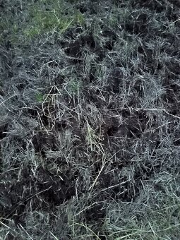 Darujem ovčí hnoj - 2