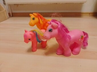 Koníky a poníky - 2