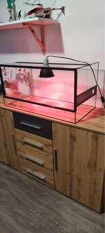 Terrarium 80x40x40 - 2