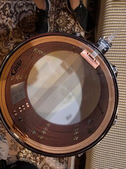 PDP by DW 13x7 bubing/maple snare - 2