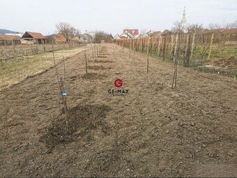 Na predaj pozemok- Malý Horeš, okres Trebišov - 2