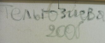 Gulmir Telgoziev / Oslí povoz (102 x 76 cm) - 2