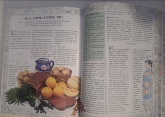 Jedlo ako jed, jedlo ako liek - 2