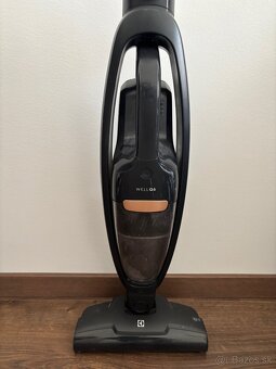 Tycovy vysavac Electrolux well q6 - 2