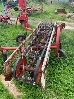 Pasova hrabacka a obracacka sena - 2