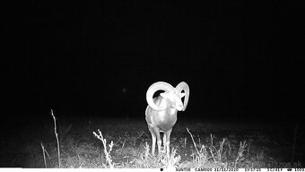 fotopasca mms suntek 300 801 900 940 950 960M/lte/pro/a - 2