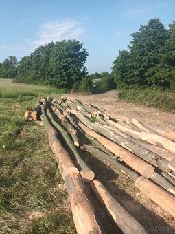 Predám rôzne dub,buk,hrab tvrde palivove drevo , na fotke bu - 2