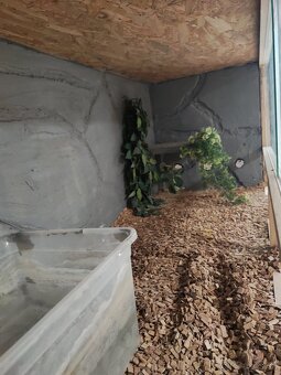 Terárium 120x50x50 - 2