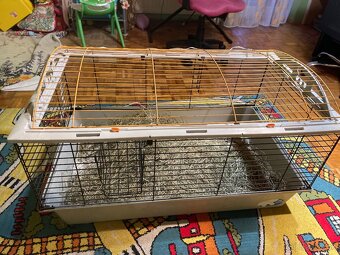 Klietka pre zajaca, morča - 2