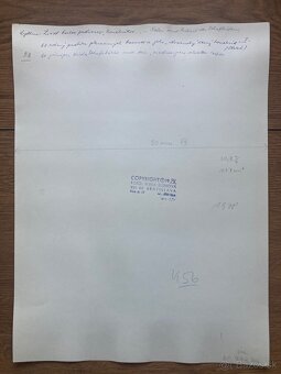 Fotografie Irena Bluhová (1904-1991) - 2