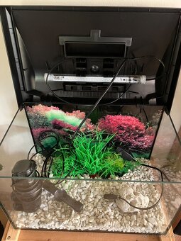Akvarium/terarium Kosice - 2