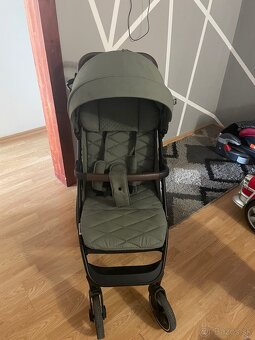 4 baby Stinger Pro Olive 2024 - 2