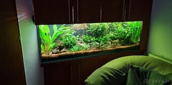 LED svetlo na akvárium do 200cm/75w - 2