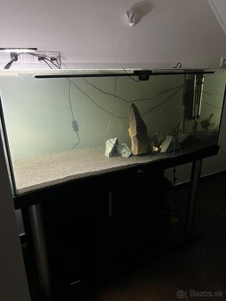 Akvárium - 2