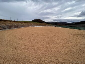 Ustajnenie koní na ORAVE - 2