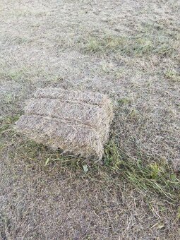 Predám malé balíky sena - 2