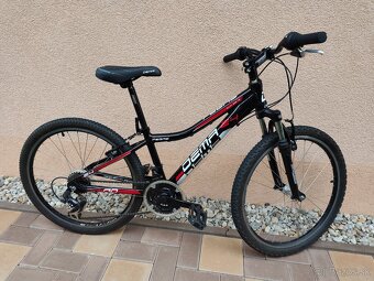 bicykel Dema Pegas 24 - 2
