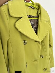 zelený kabát - 2