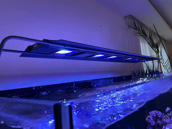Maxspect RSX - LED osvetlenie 300W/120cm pre morske akvarium - 2