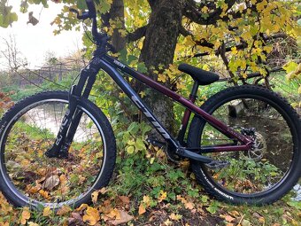 CTM dirtking - 2