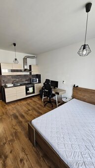 Pri Radnici - Garzonka na prenajom - 2