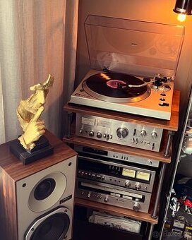 Technics SL-1301 po servise s novým stylusom - 2