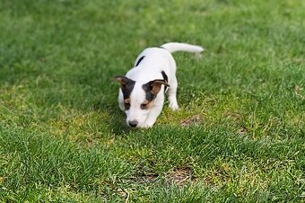 Jrt - 2