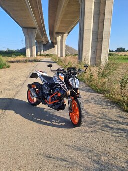 KTM Duke 390 (2021) - 2
