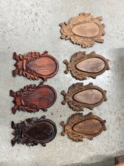 Trofej,parohy,parozie,srnec 1 - 2