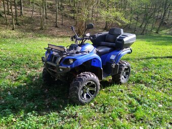 Yamaha Grizzly 660 - 2