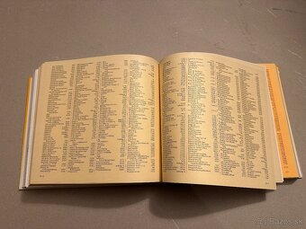Slovník Multilingual Dictionary of the Gas Industry - 2