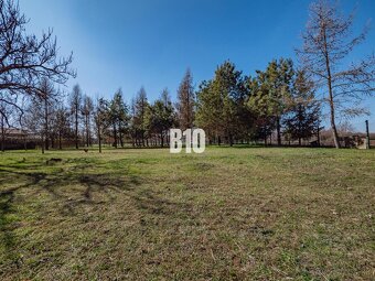 Rozľahlý pozemok s domom a lesíkom – ideálne pre hospodáreni - 2