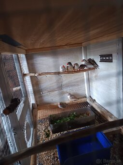 Predám zebričky - 2