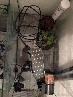 Akvária 3ks,automatické krmitko,filter a ďalšie… - 2