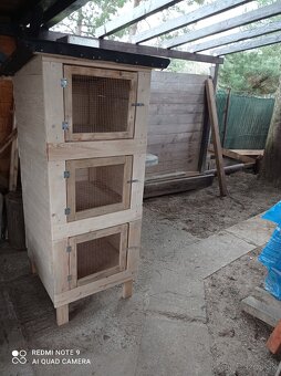 Zajacnik - 2