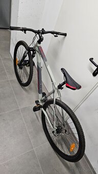 CTM REIN 2.0 29" šedá / červená, model 2021 - 2