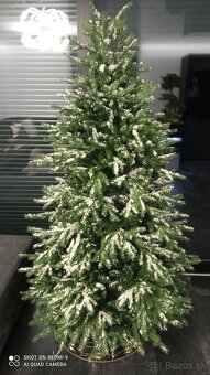 Vianočný stromček - 2